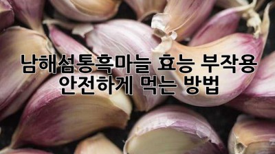 남해섬통흑마늘 효능, 부작용, 안전하게 먹는 방법