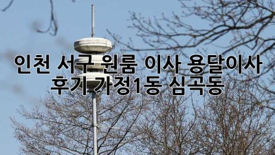 인천 서구 원룸 이사? 용달이사 후기 (가정1동, 심곡동)