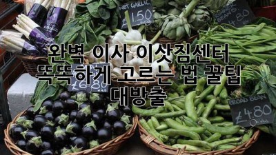 📦 완벽 이사, 이삿짐센터 똑똑하게 고르는 법! 꿀팁 대방출 🍯